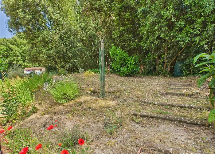 Maison Proche De La Avec Jardin Pour 4